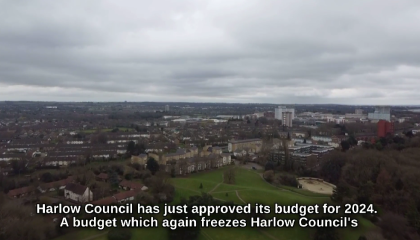 Image of Harlow from the budget video