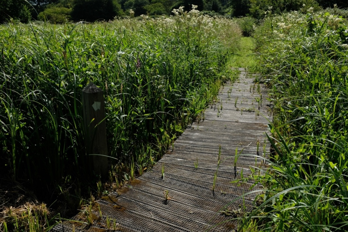 Parndon Moat Marsh Parndon Moat Marsh