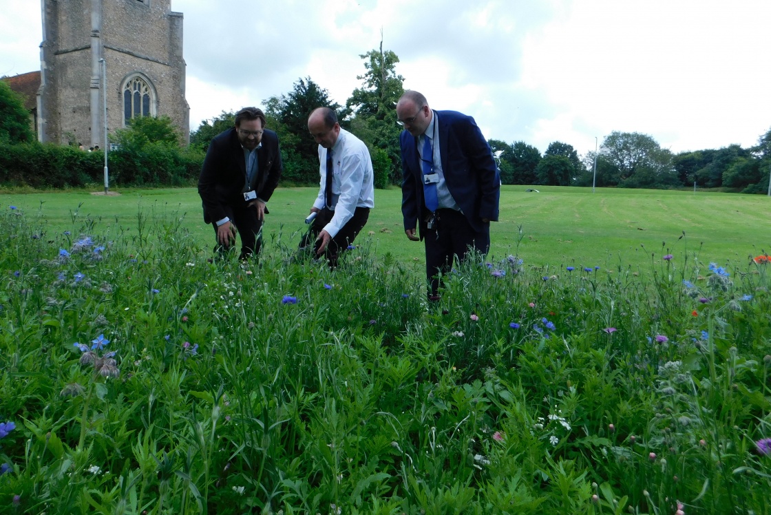 Alistair Gunn, Andrew Bradley and Matthew Saggers at Mark Hall Park