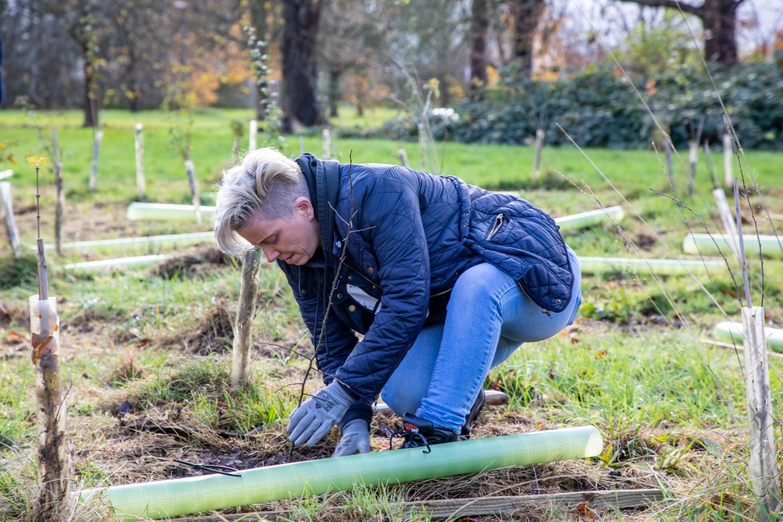 Councillor Nicky Purse planting trees Councillor Nicky Purse planting a new tree in East Park