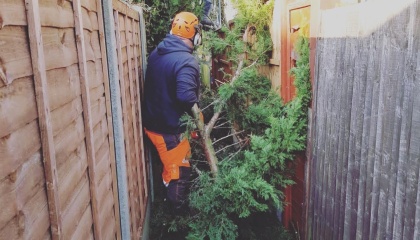 Photo of HTS operative making safe a damaged tree