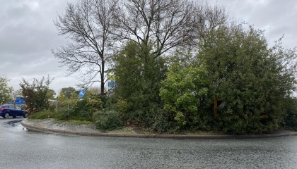 Image of a poorly maintained roundabout near the Queensgate Centre 