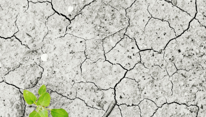 Climate change Strategy consultation 2024