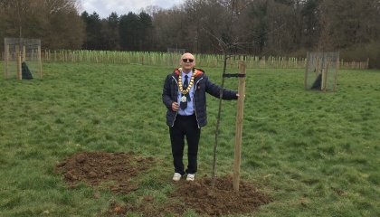 Image of Councillor Clive Souter, Chair of Harlow Council with a new oak tree planted on Second Avenue 