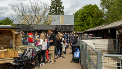 Image of families at Pets' Corner to celebrate its 60th anniversary 
