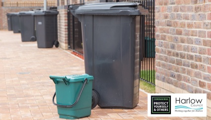 Image of food waste bin and non recycling bin 