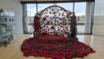 Poppy display in the Civic Centre