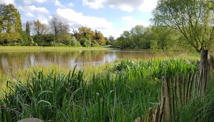 Netteswell Pond