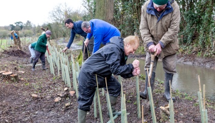 Volunteers planting trees