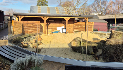Pets' Corner new enclosure update