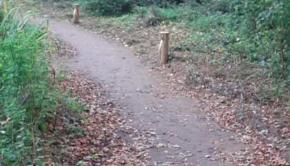 Path around Oakwood Pond