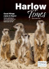 Harlow Times Spring 2025 front cover